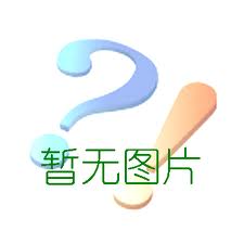S312-250恒速搅拌器